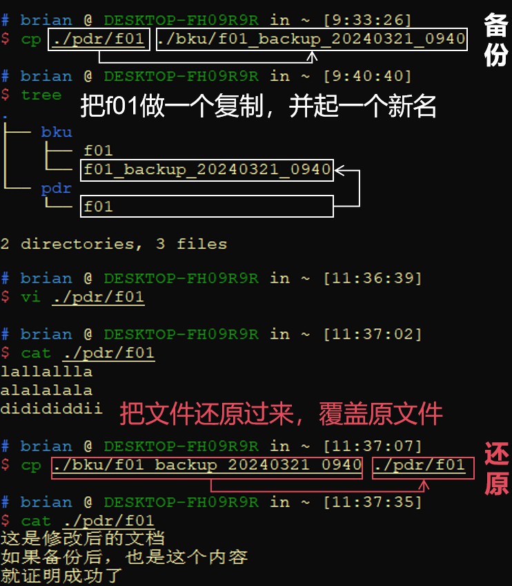 cp命令笔记-备份还原